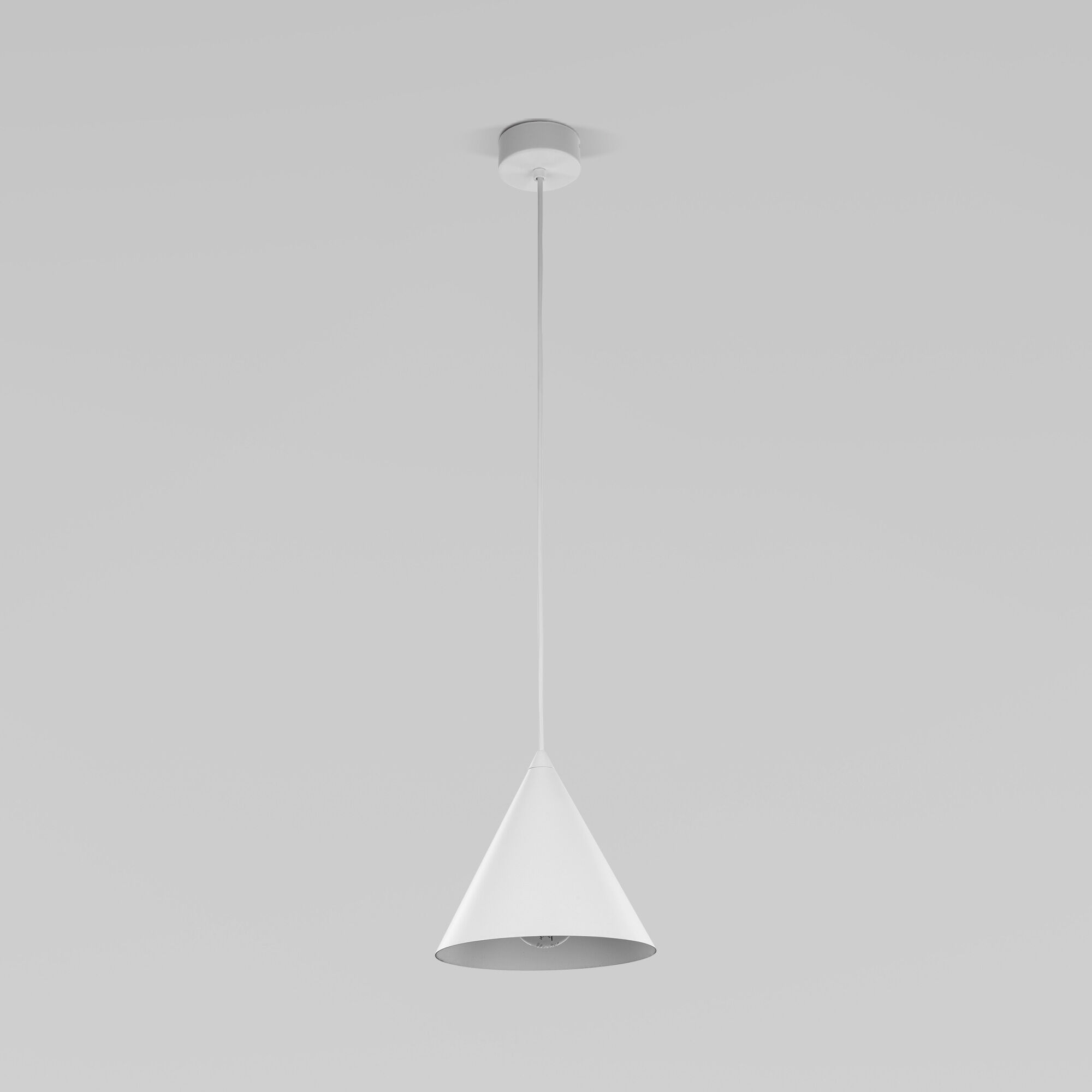 10007 Cono