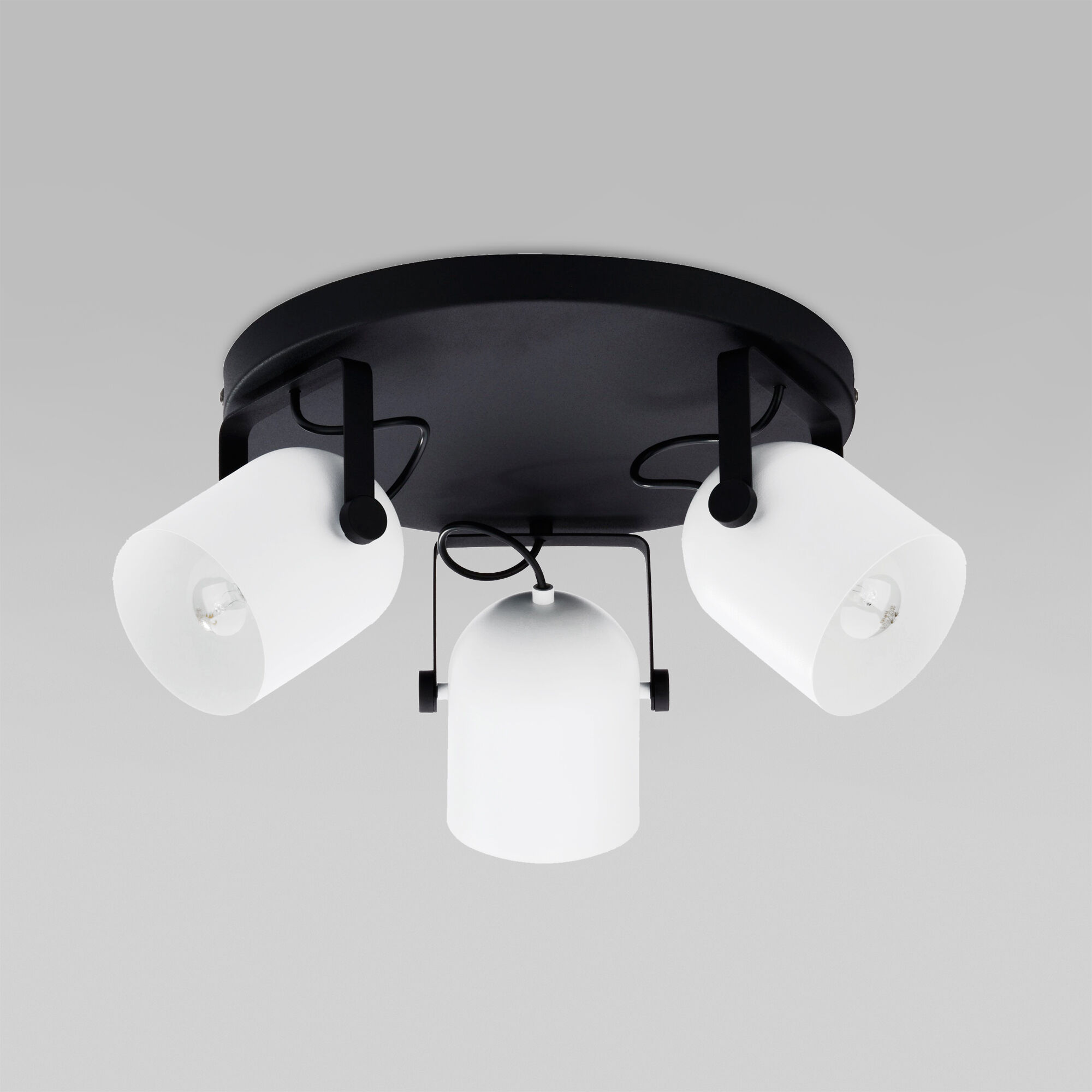 3491 Spectra Black White