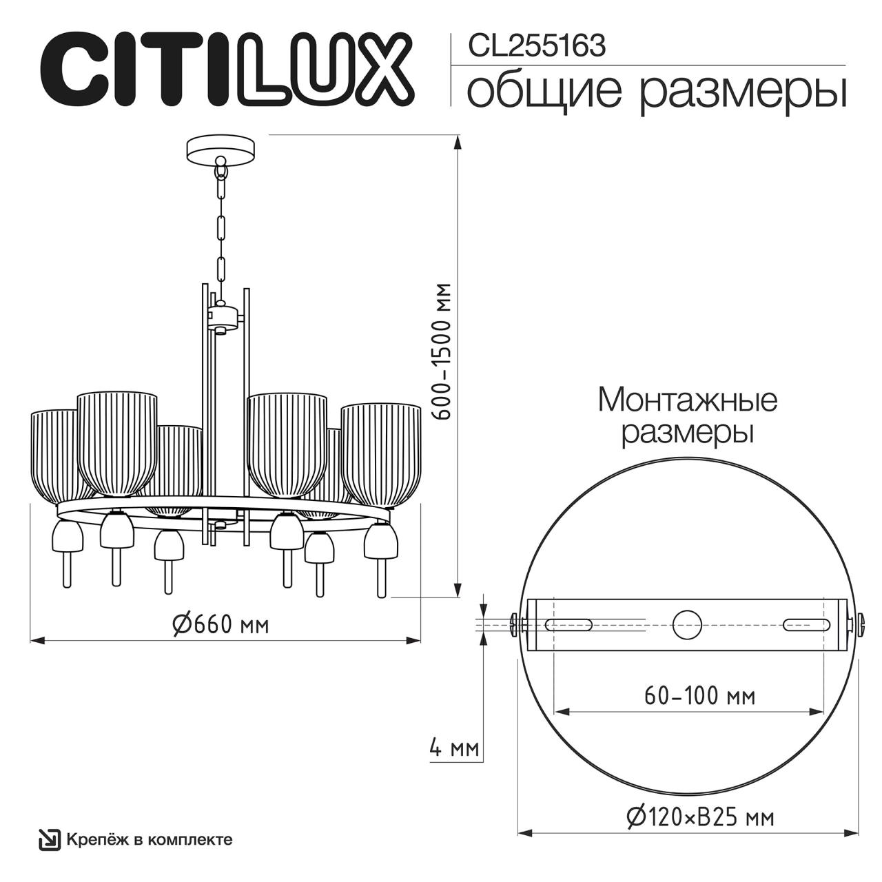 CL255163