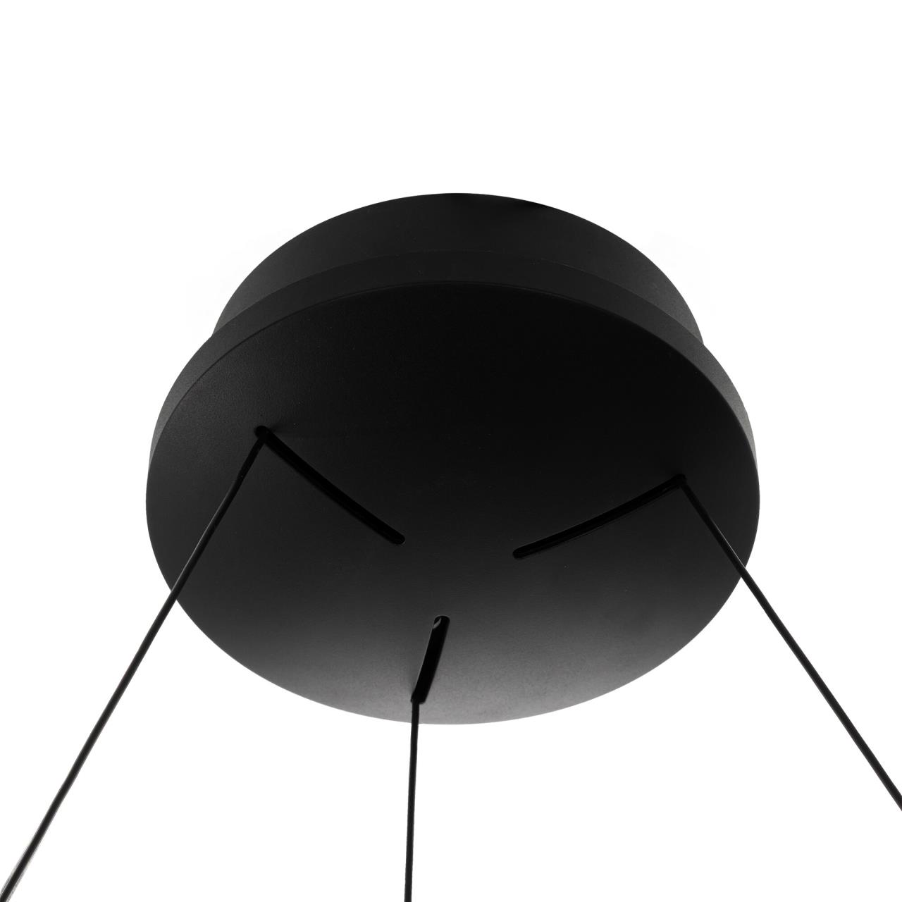CL220261