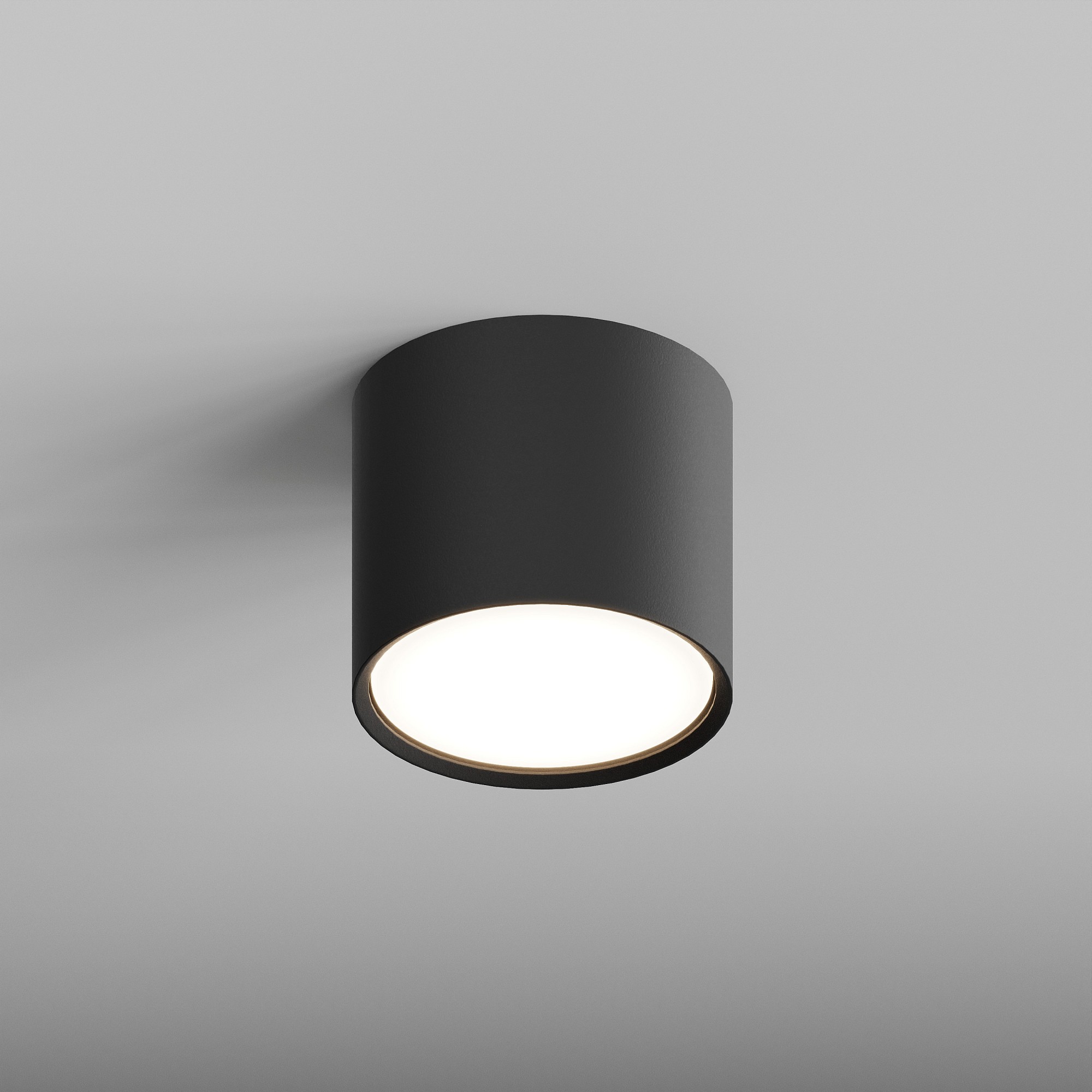 HSBL_0207