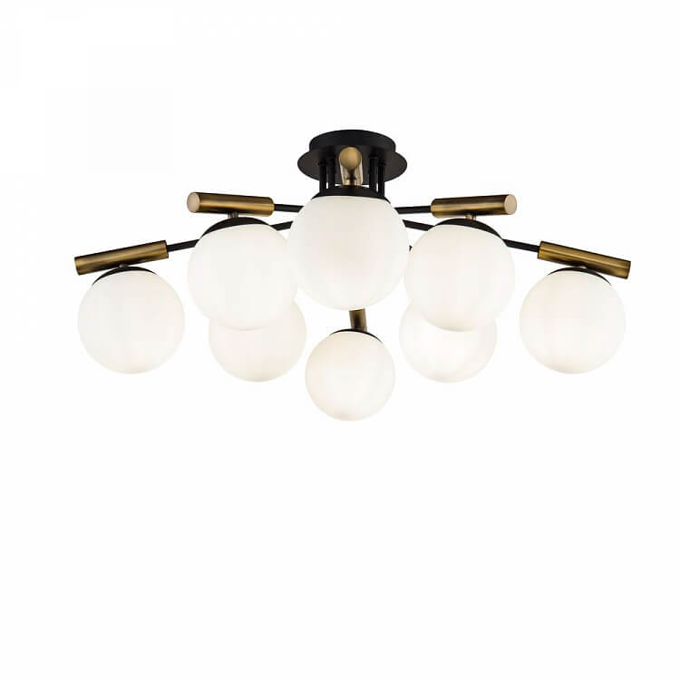 Paolina FR5011CL-08B