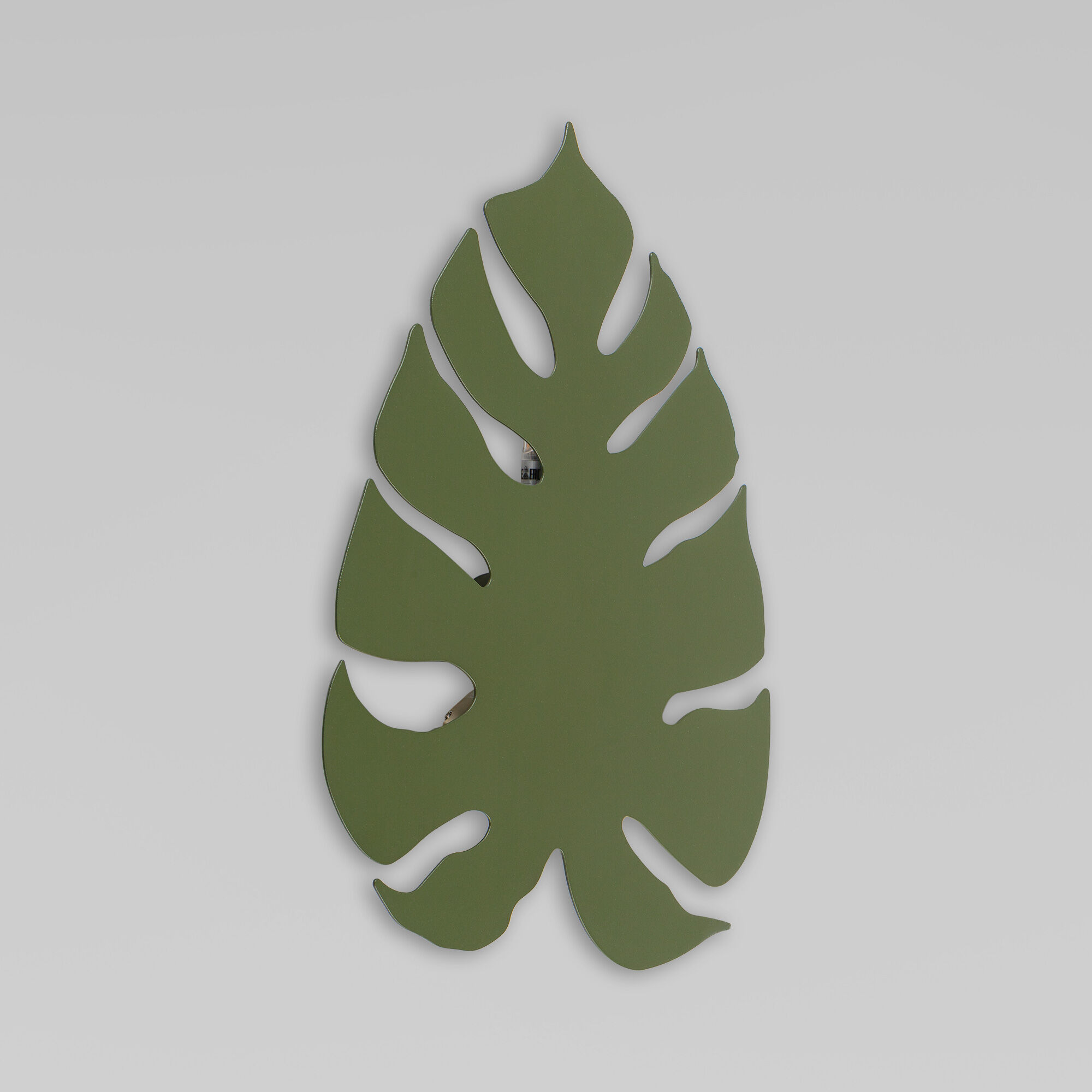6435 Monstera