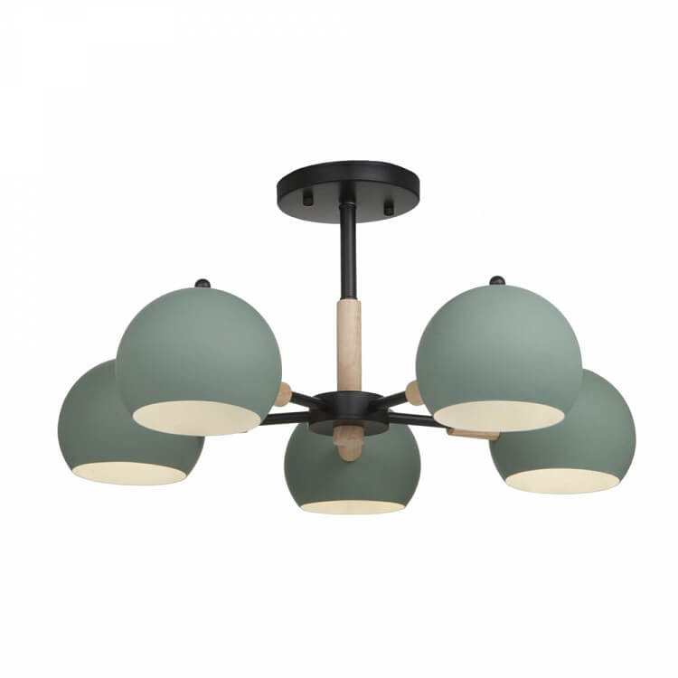 Trisha FR5032CL-05B