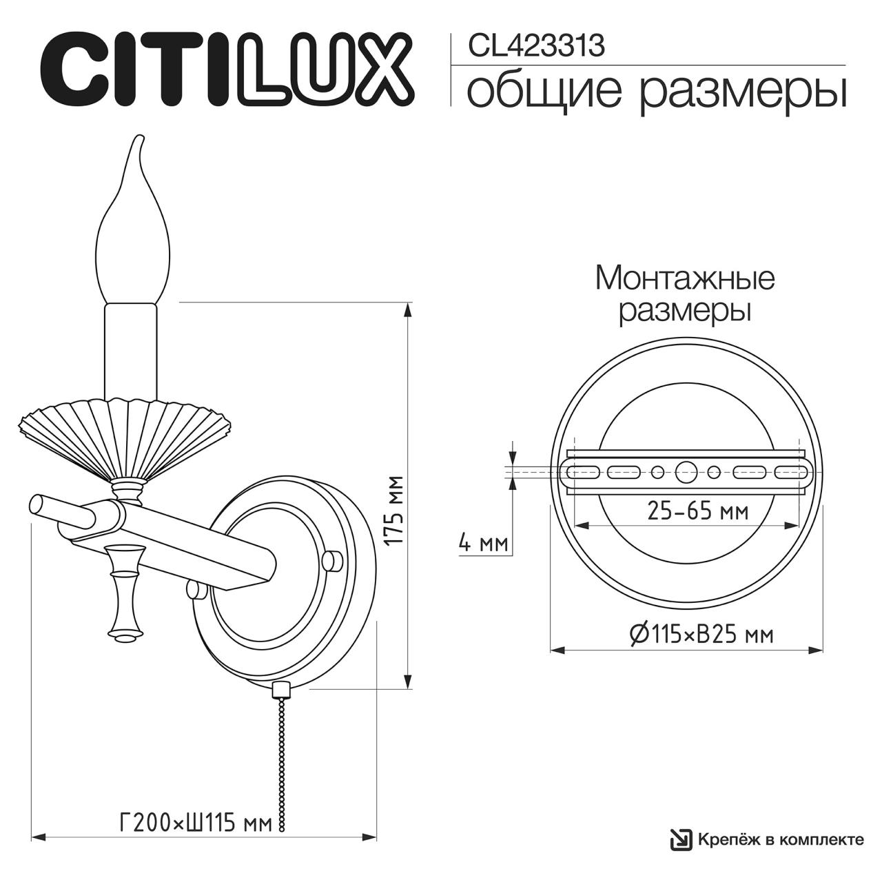 CL423313