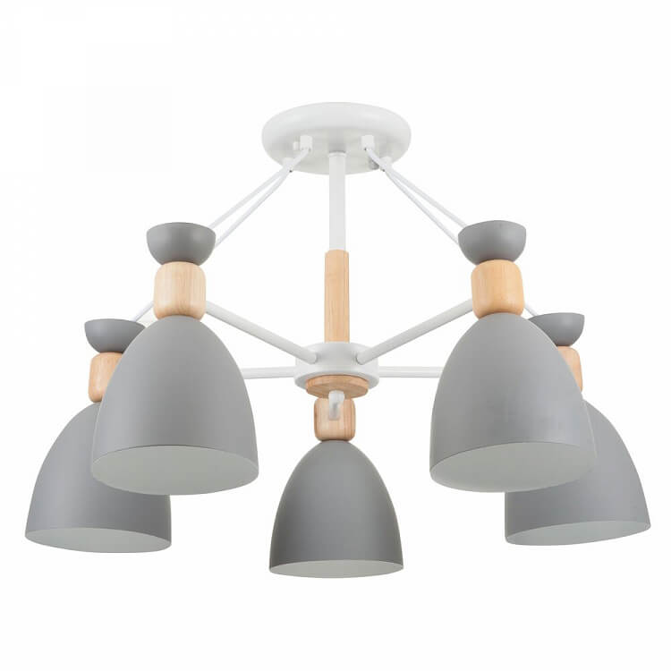 Delia FR5033CL-05W
