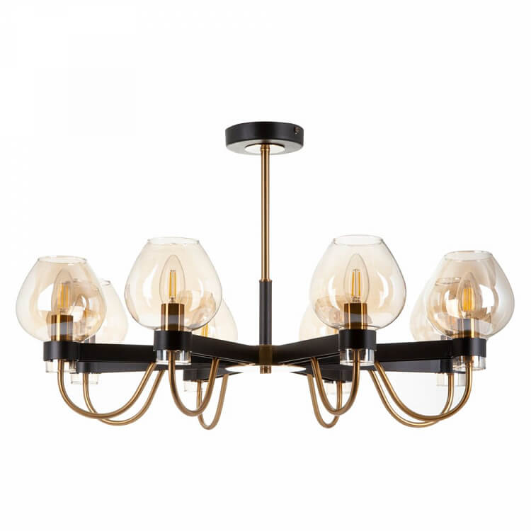Tara FR5028PL-08B