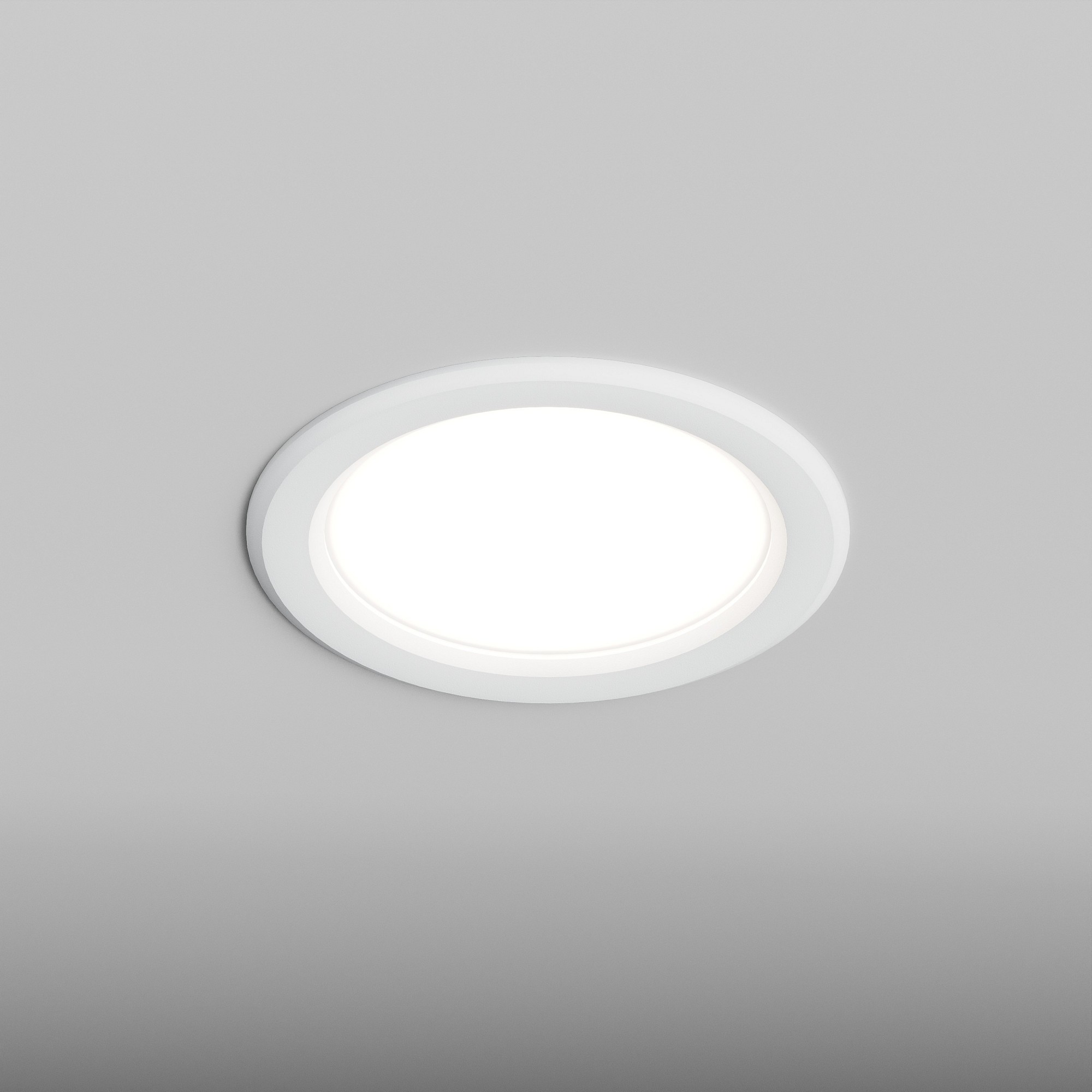 HSBL_0204