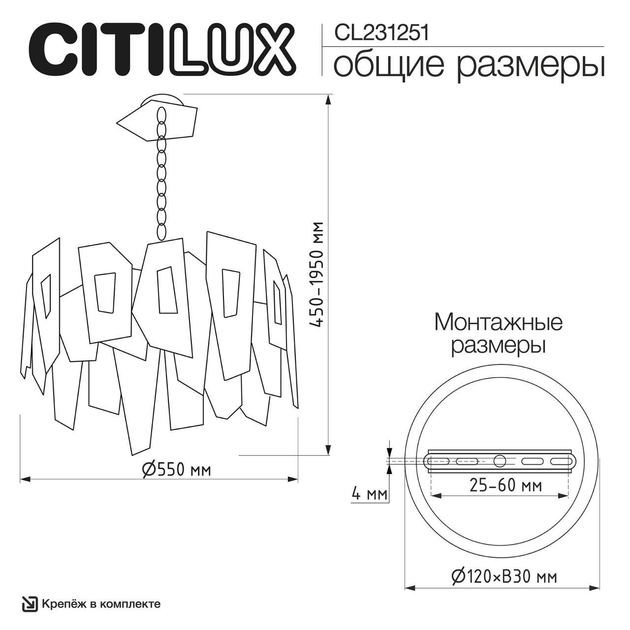 CL231251