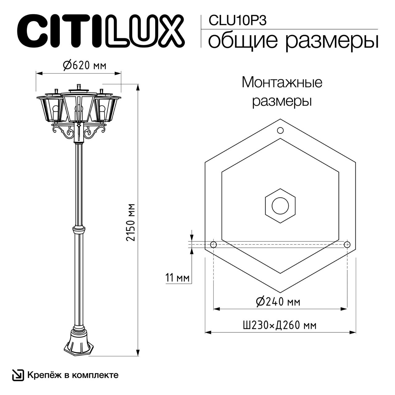 CLU10P3