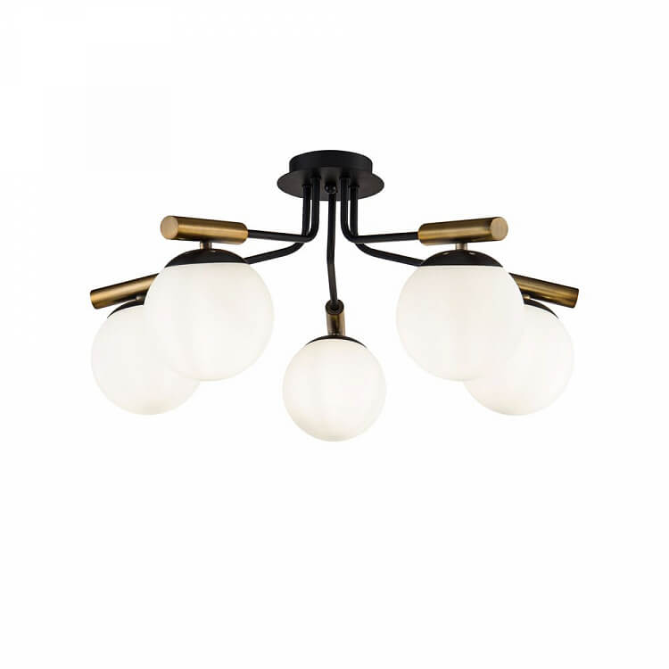 Paolina FR5011CL-05B