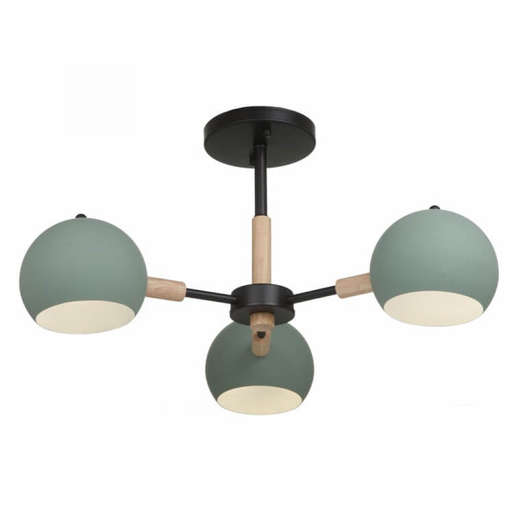 Trisha FR5032CL-03B