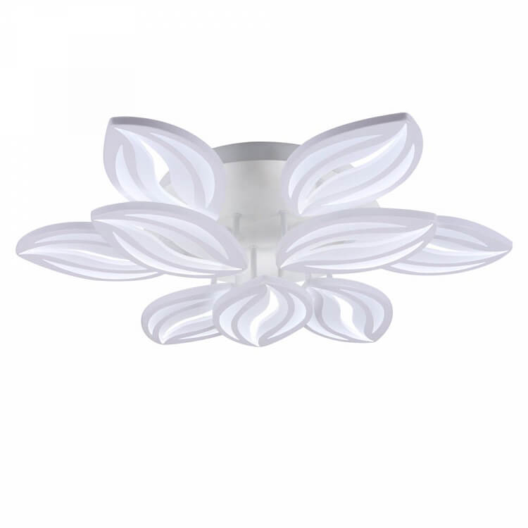 Myrtle FR6013CL-L157W