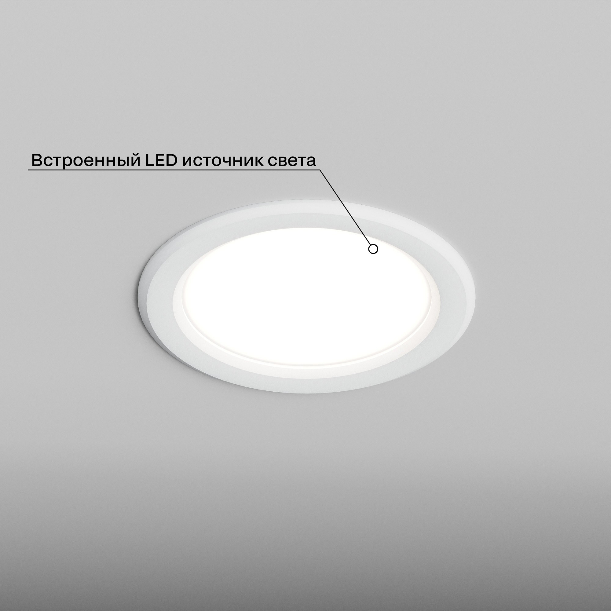 HSBL_0204