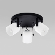 3491 Spectra Black White